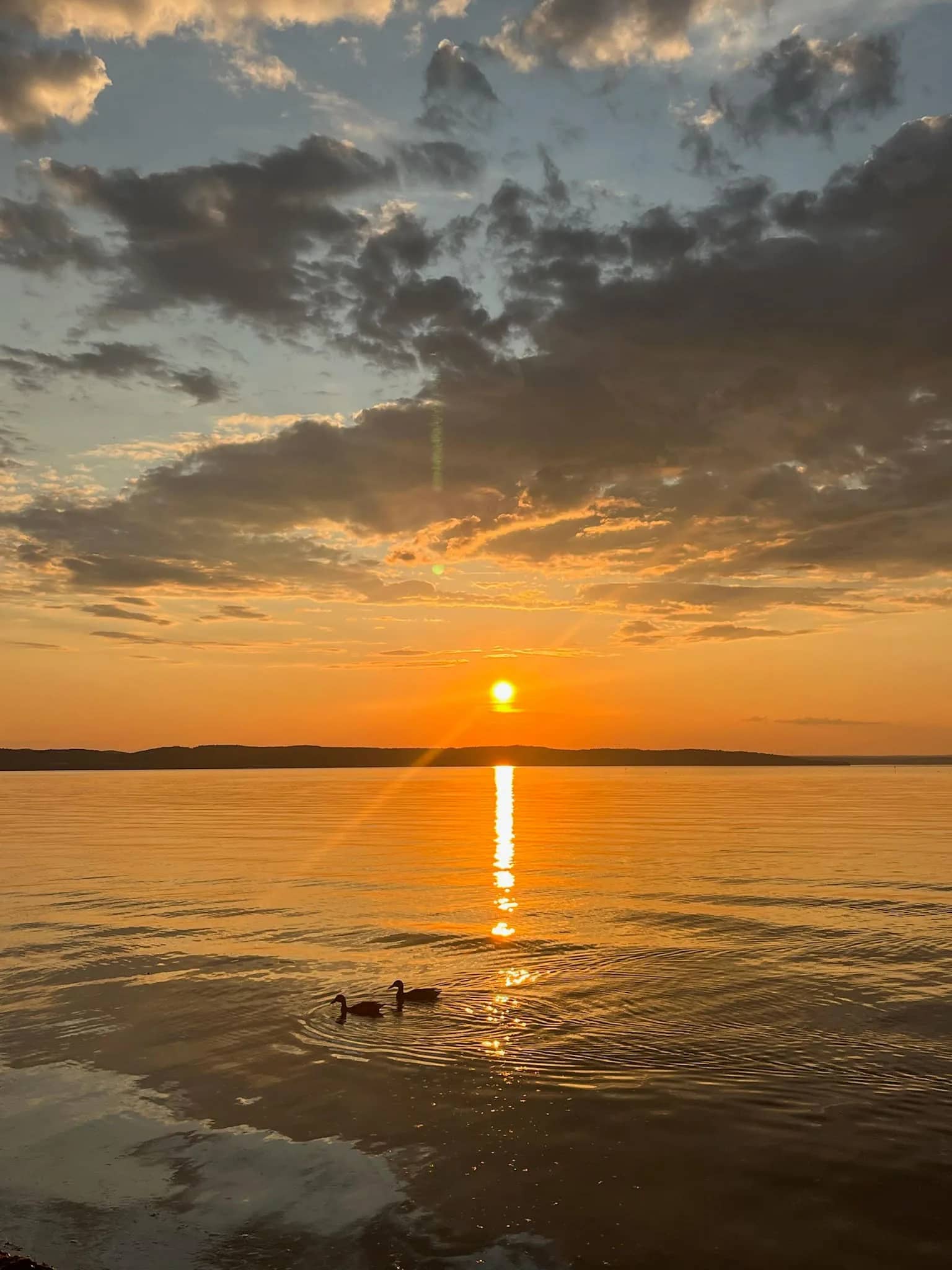 Vättern vid solnedgång, ankor på stilla vatten nära Huskvarna